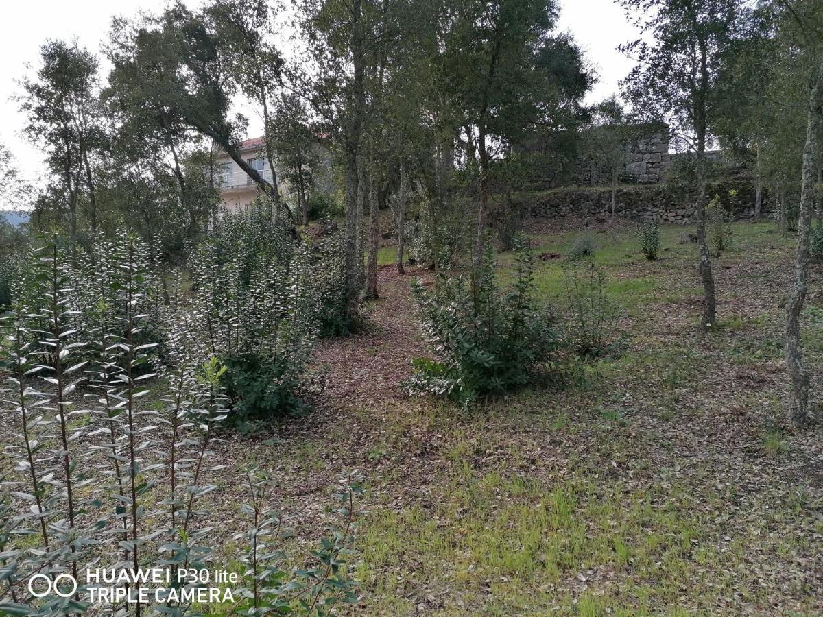 Casa Douro Terrace Villa Baião Eksteriør billede